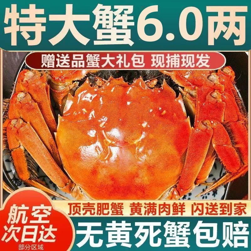【专用蟹筘，防伪码福利】8个/10个顺丰京东冷链包邮海鲜