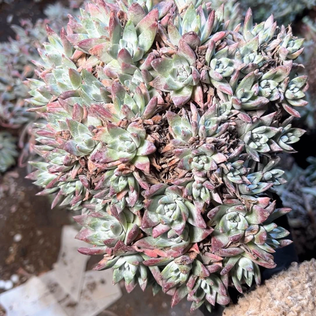 6820哈哈哈哈哈哈哈哈