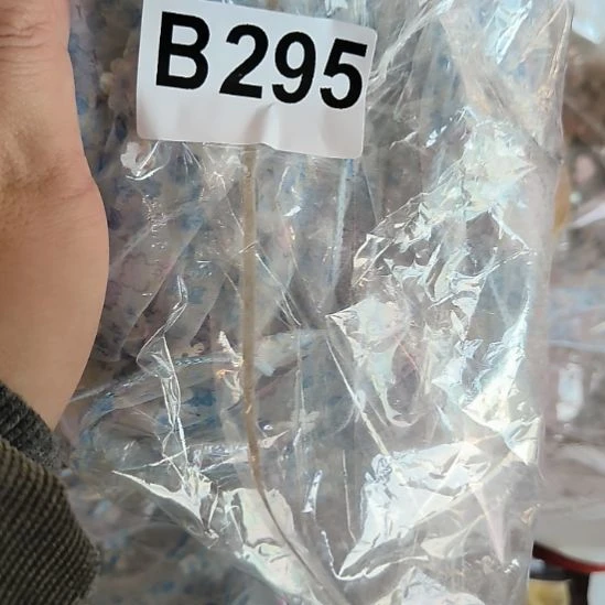 白***荷295%8888888888888888