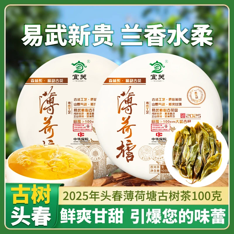 【支持试喝】 2025年云南易武薄荷塘古树春茶茶饼100g小饼茶叶-2774