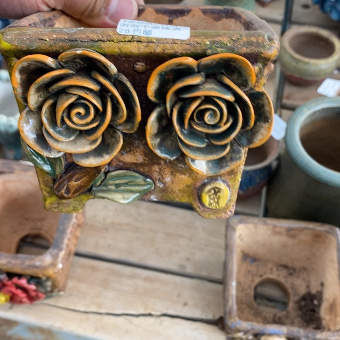 宁***莲63号花盆微瑕福利啦啦