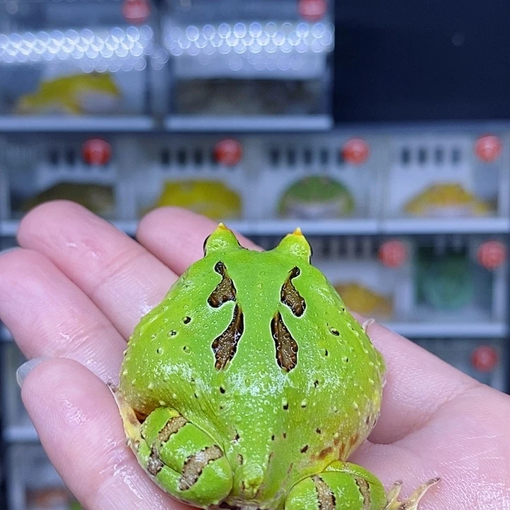 特价秒杀现货特价残