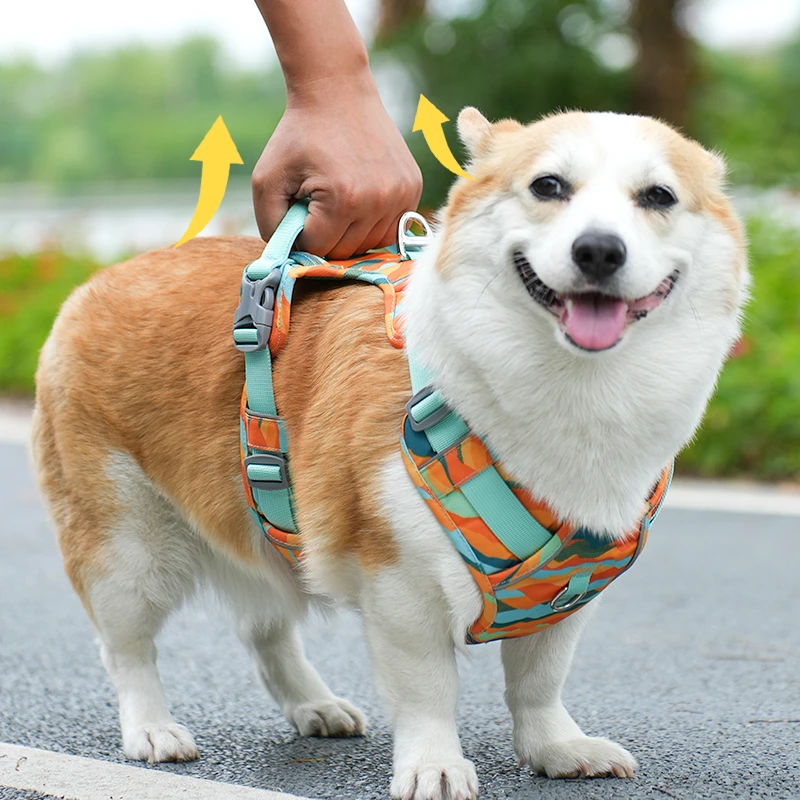 【春日山脉系列】狗狗牵引绳狗胸背背心式遛狗链猫狗通用