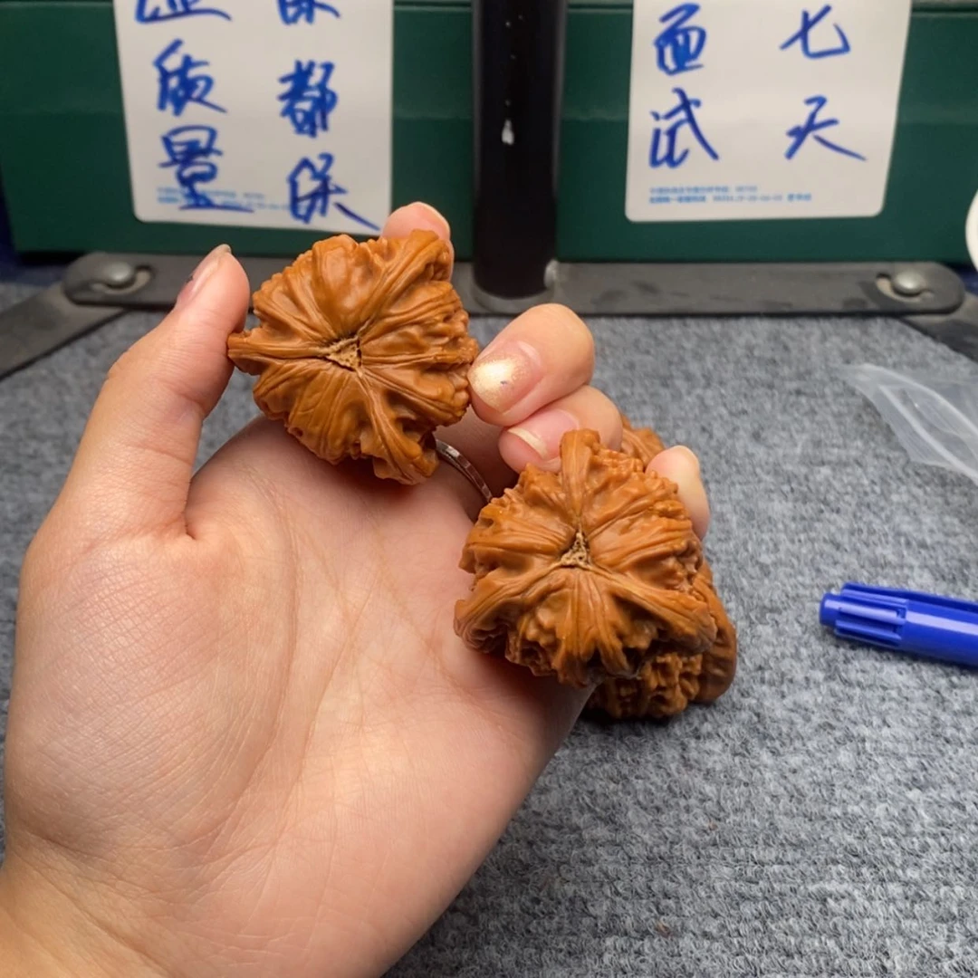 【闪购商品】B****7白狮子1111111