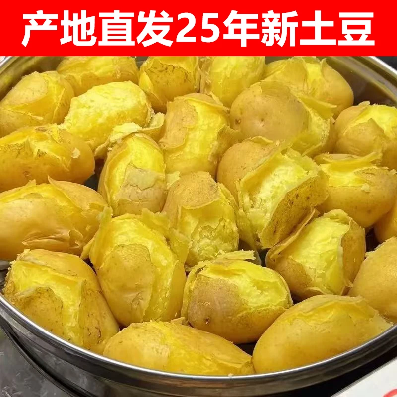 甘肃定西黄心土豆新鲜现挖沙糯粉面好吃洋芋甘肃沙面黄心土豆