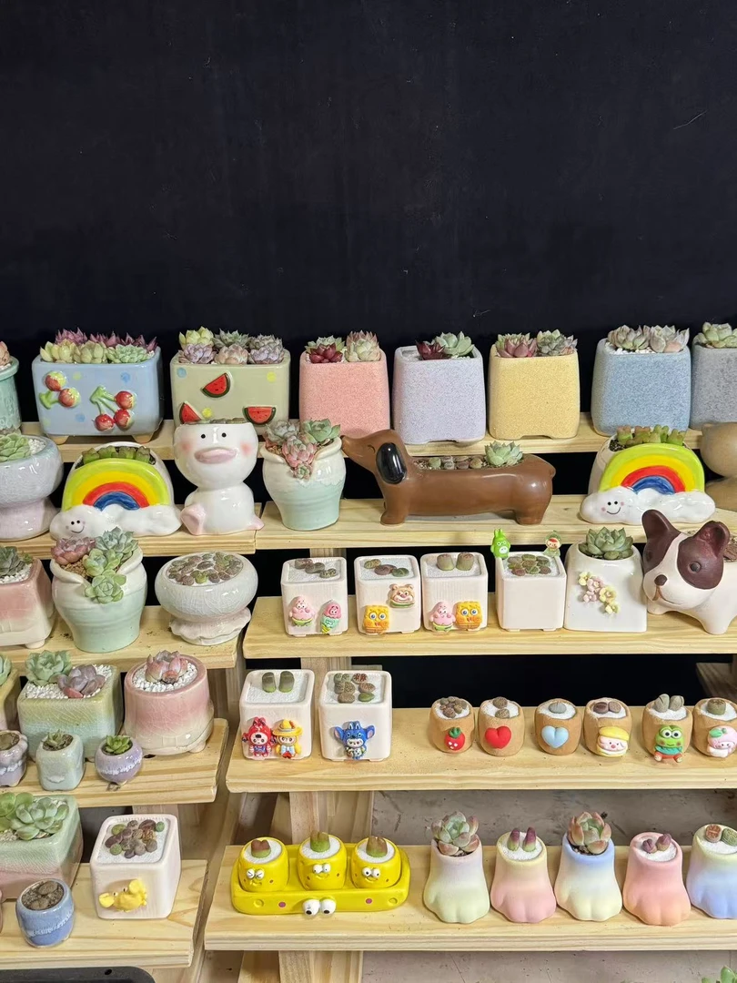 简约透气创意多肉花盆适合室内桌面装饰打造萌趣小景