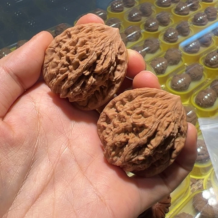 文玩核桃把件39.5麦穗虎头