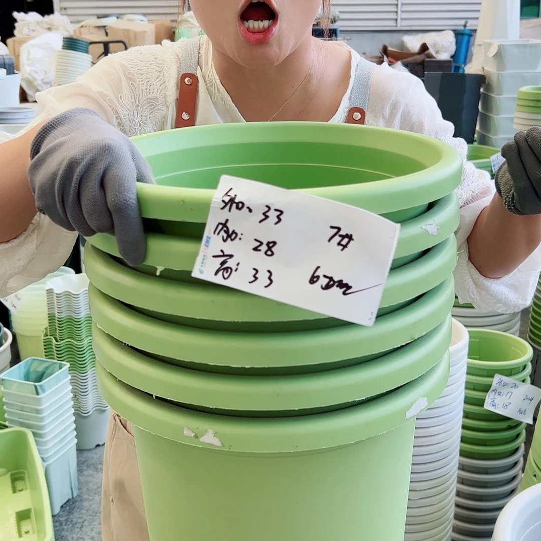 四季盆7#果绿色6个无托