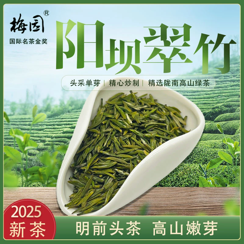 2025年陇南绿茶龙井高山绿茶阳坝梅园翠竹