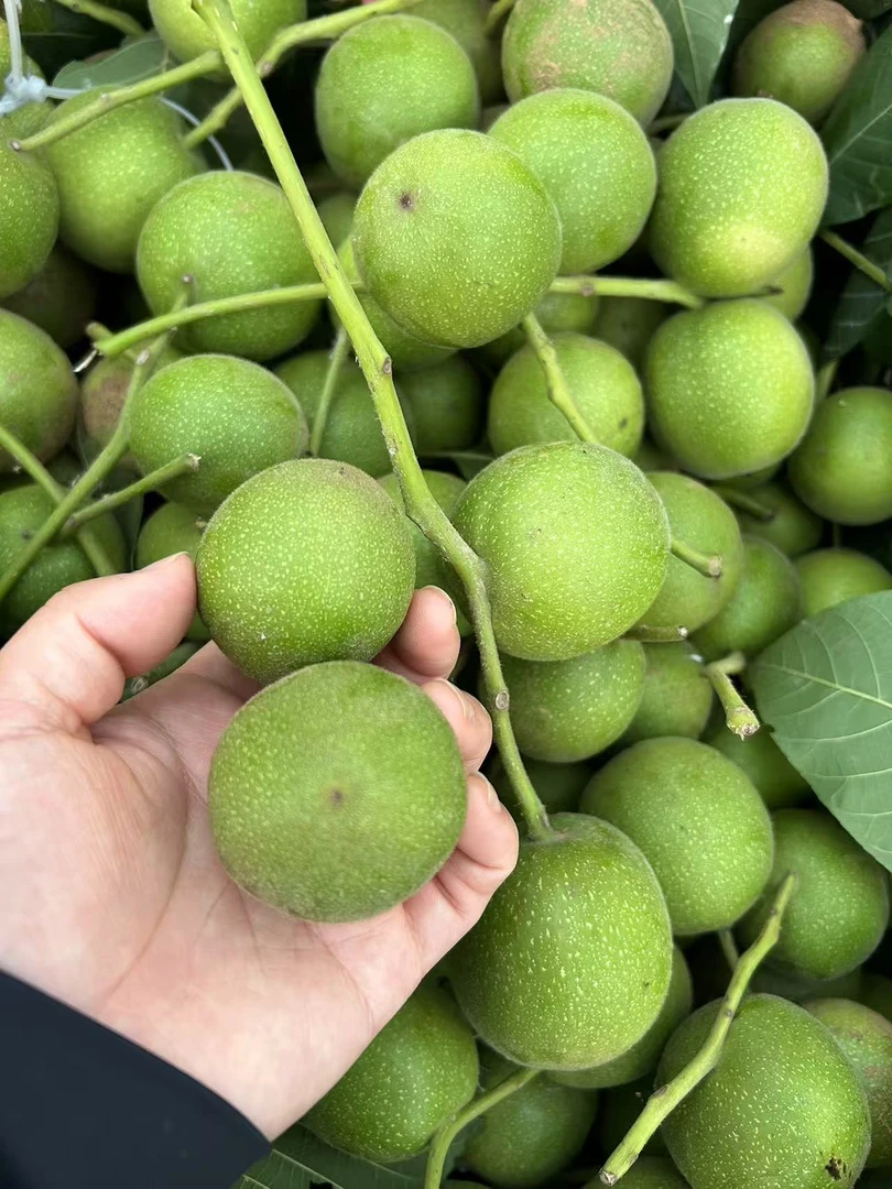 中果盘山青皮核桃链接随机尺寸文玩核桃看好下单不退不换