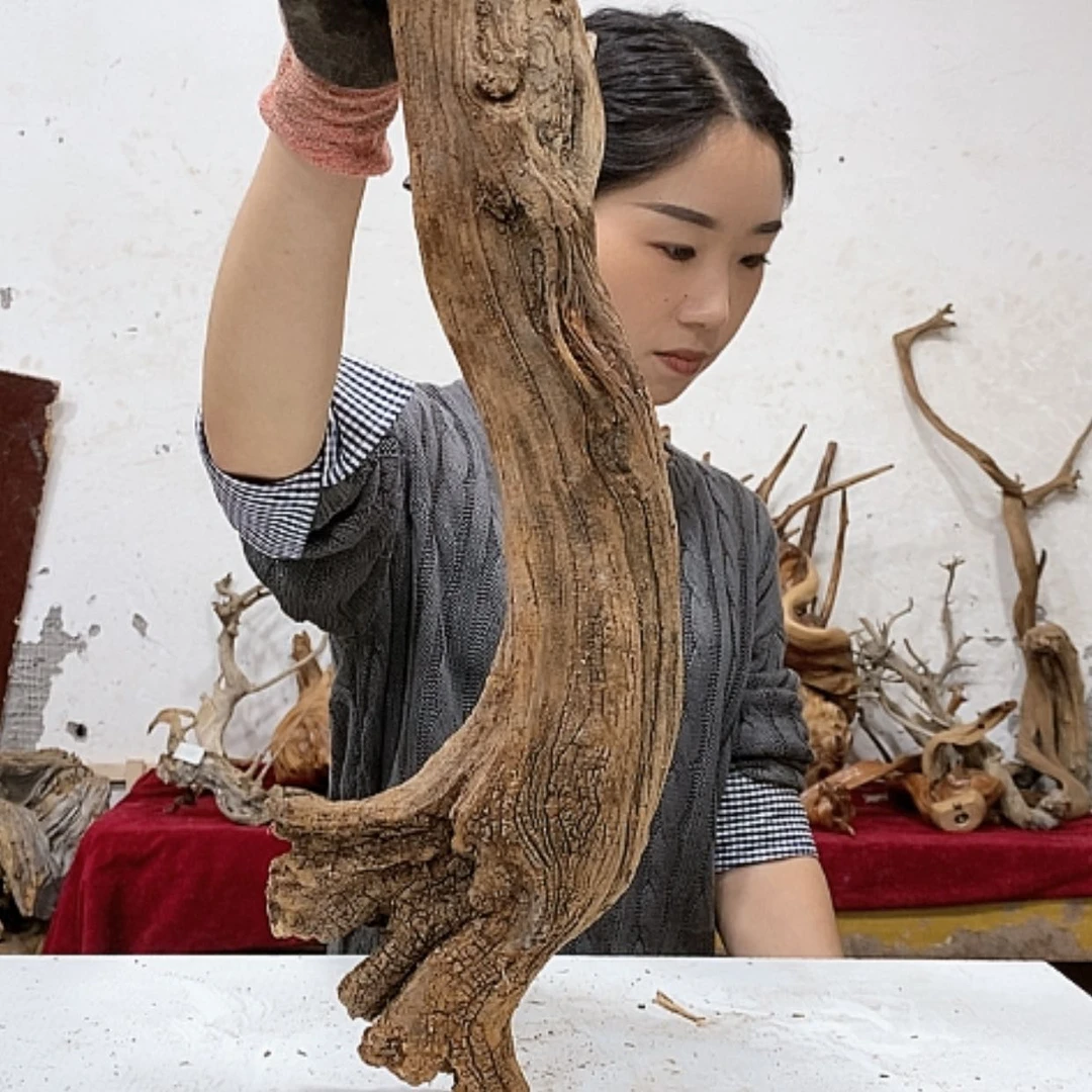 【闪购商品】柏木用****8我们都是好孩子
