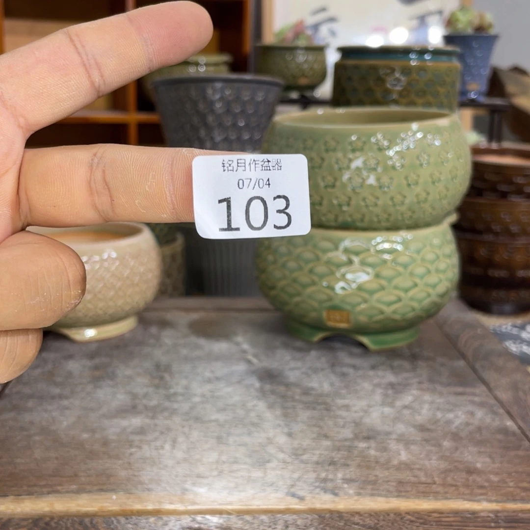 景德镇0盲盒内口6 cm 素盆102