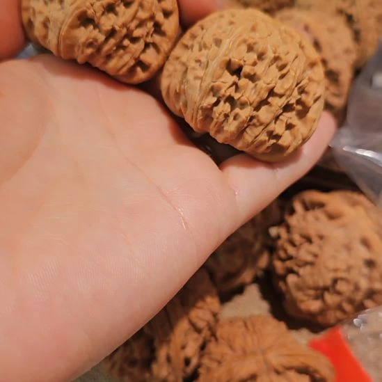 吊坠文玩核桃43白狮子