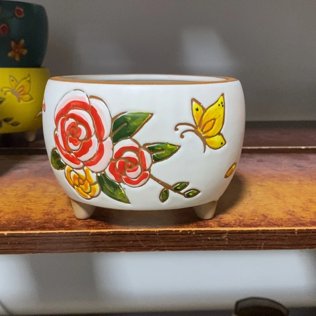 韩式多肉植物花盆