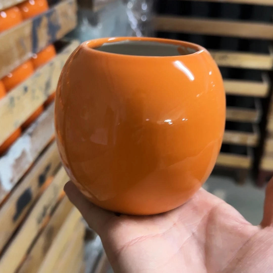 福利局绿植多肉盆［凑9元包邮24小时发］