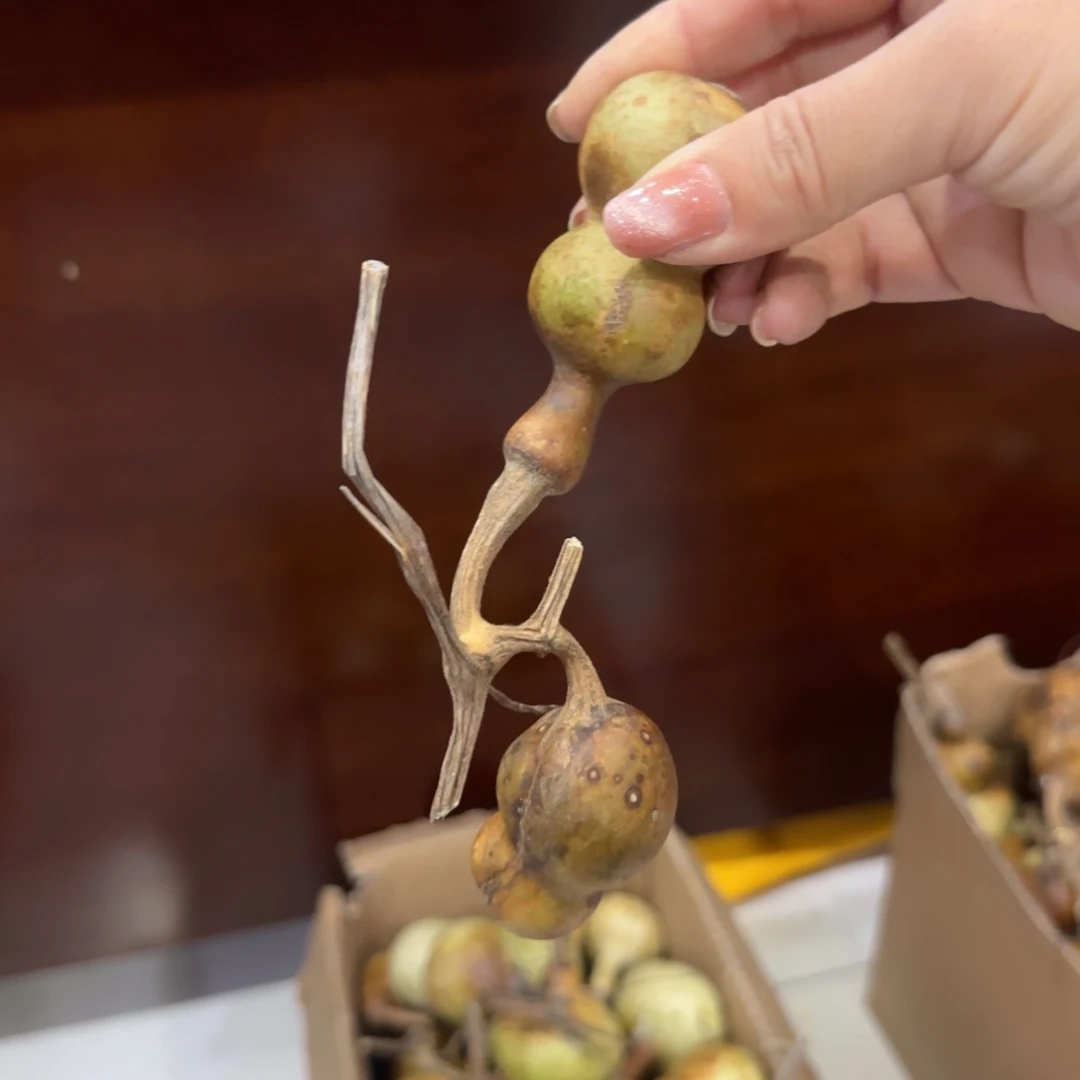 葫芦发际线高哈哈刚刚好jjj