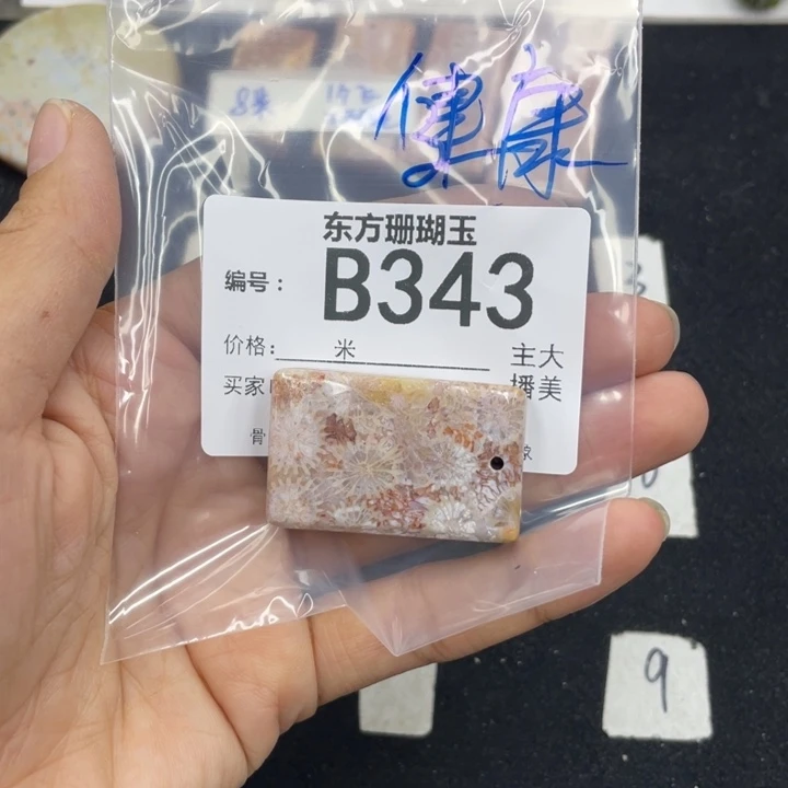 硅化珊瑚（珊瑚玉）颈饰合金健**宁