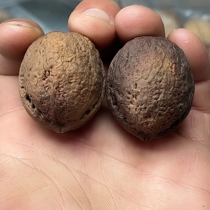 把件文玩核桃82号云铁36尺36克