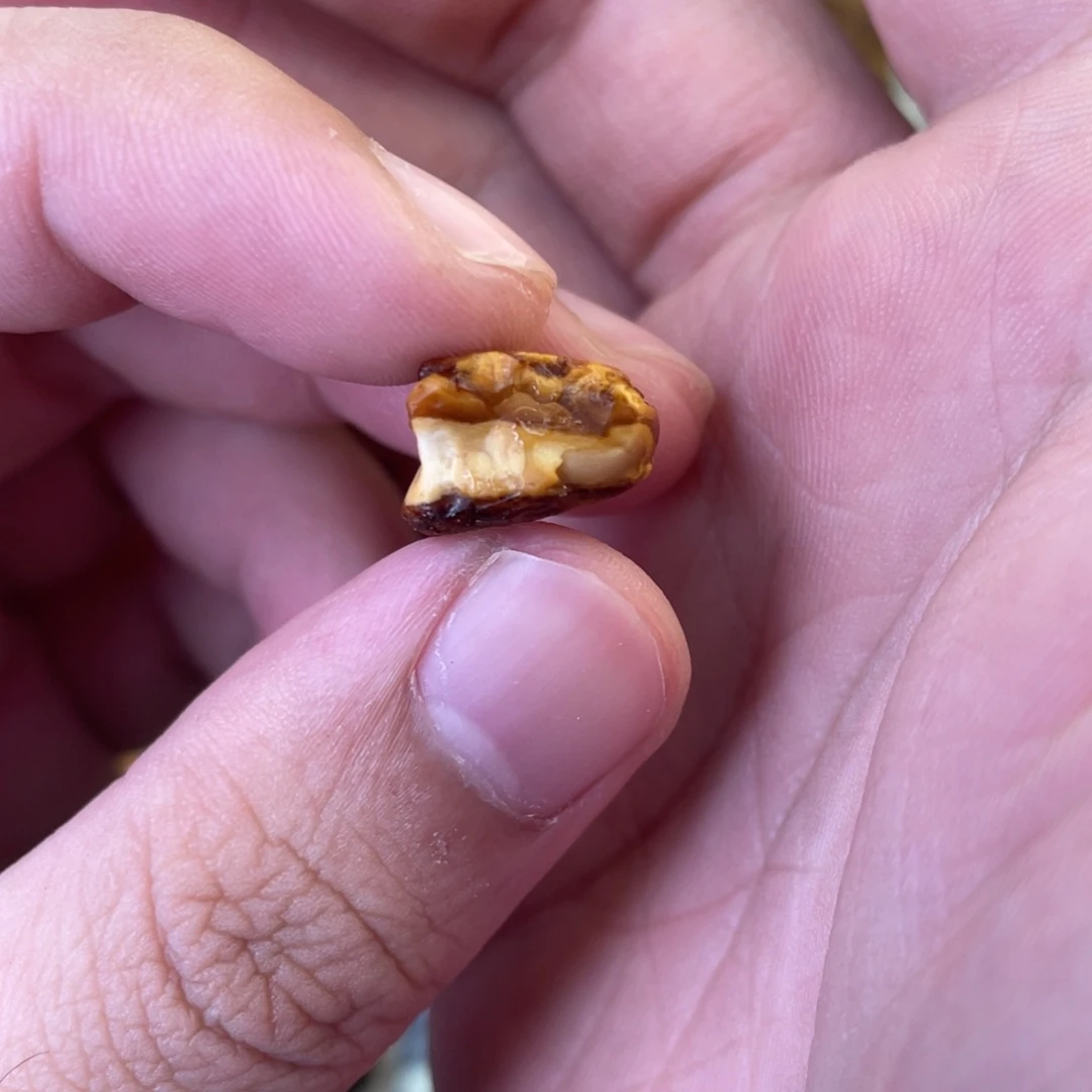 定制琥珀天然琥珀8*7老型