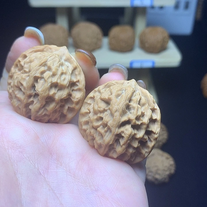 苹果1111111111111111111