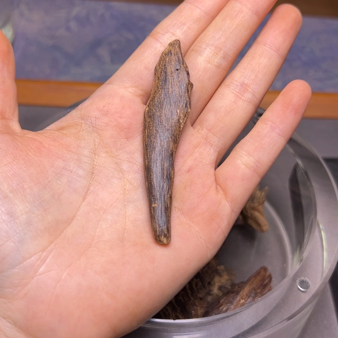 牛***啡沉香沉香碎屑海南大山沉水牙沉4.7克