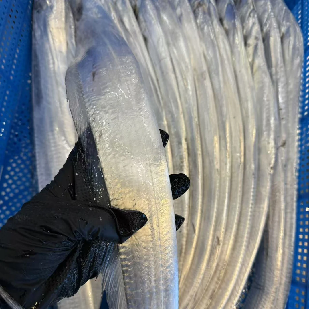 新鲜刀鱼5斤顺丰包邮