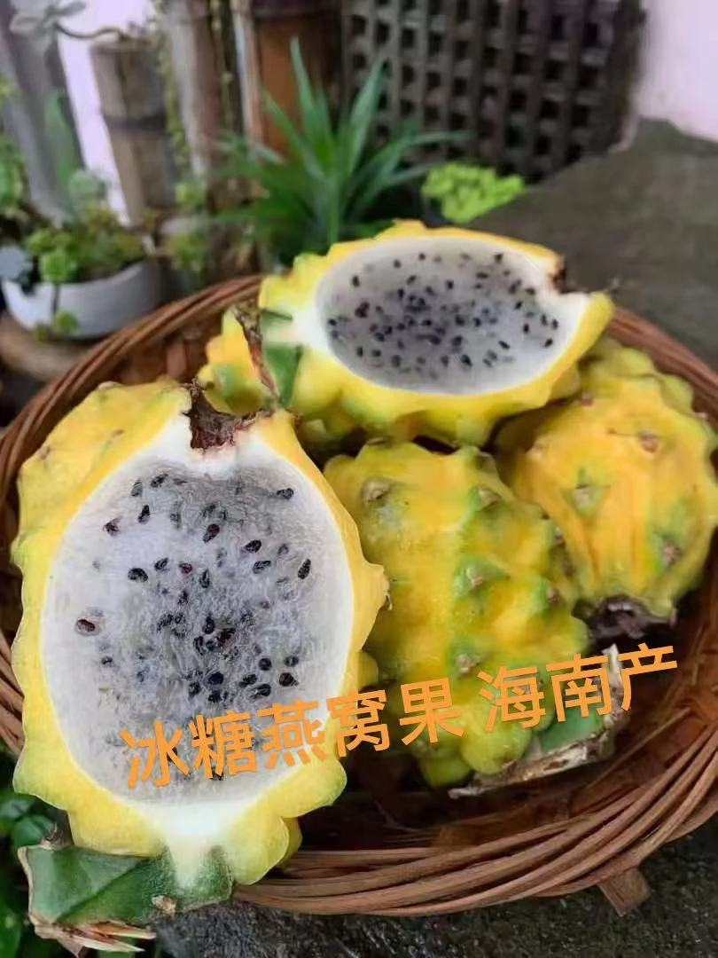 海南三亚燕窝果麒麟果当季现摘特产热带水果家庭装