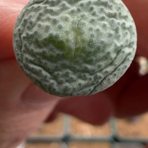 61 好看的肉肉冲冲冲冲冲冲冲