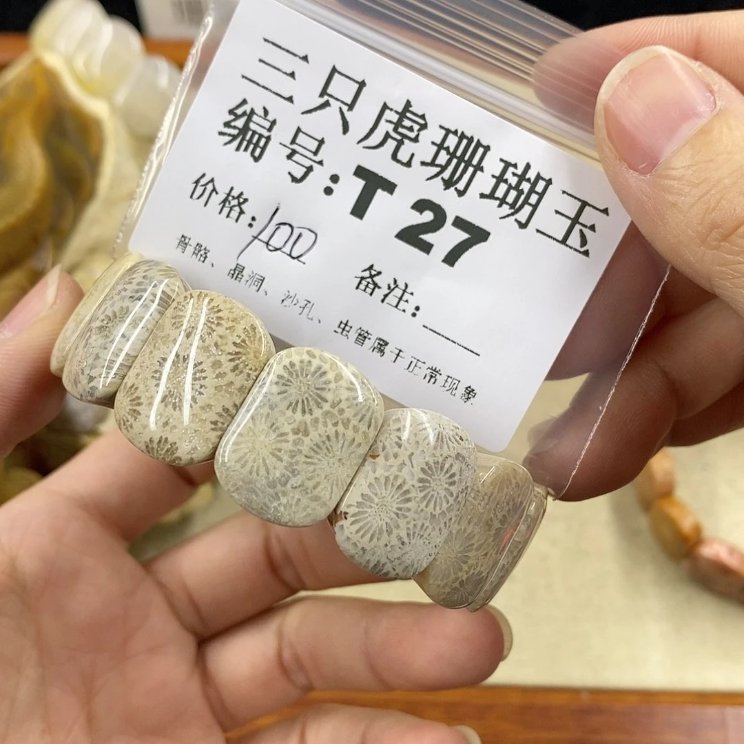 硅化珊瑚（珊瑚玉）1未镶嵌2****瑰