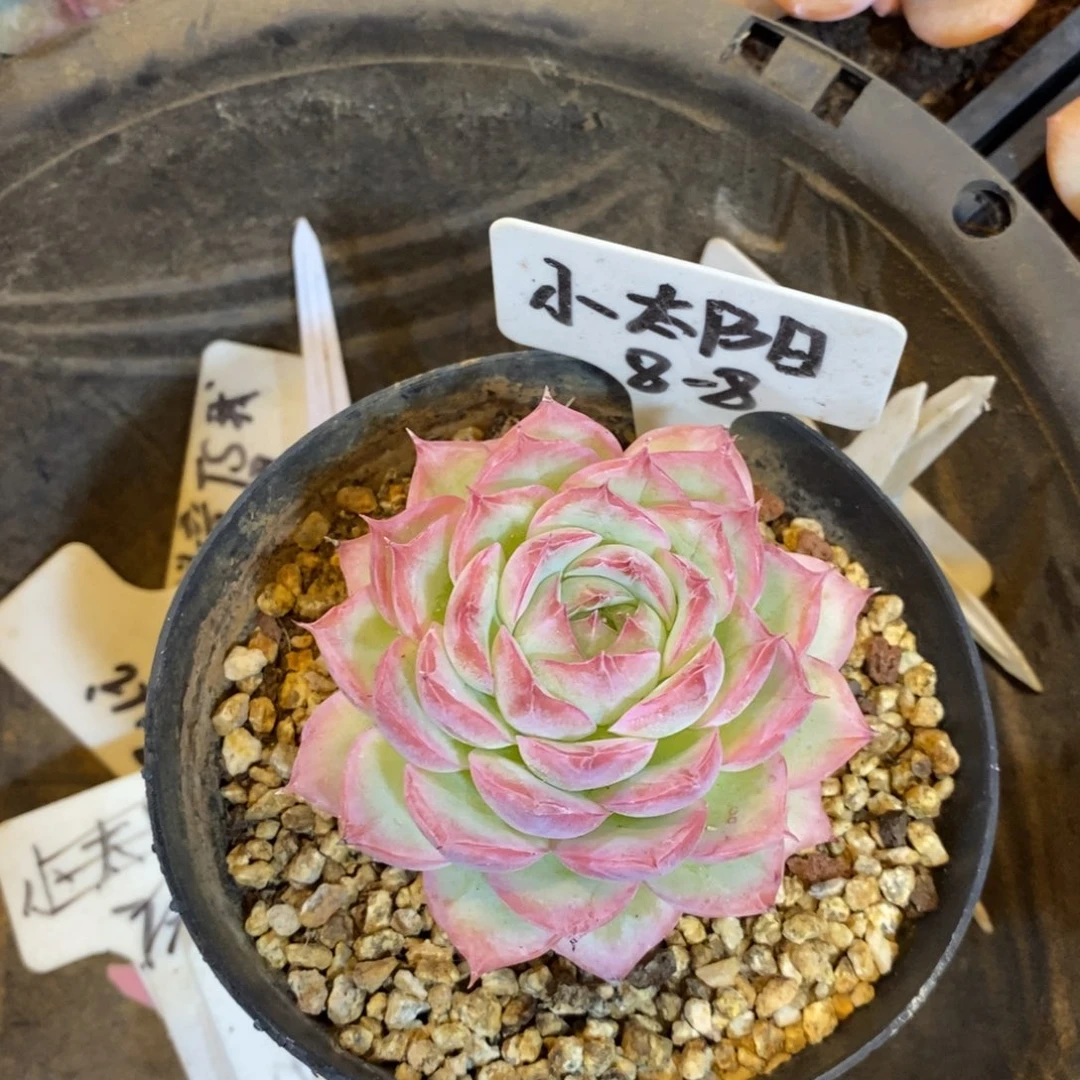 ****妈自然科学是指通过科学方法和科学