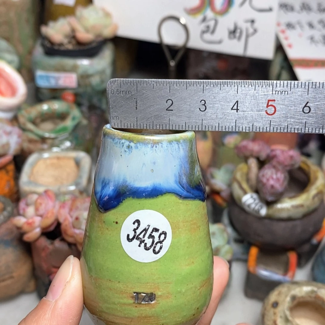 花盆拍5送一个小礼物