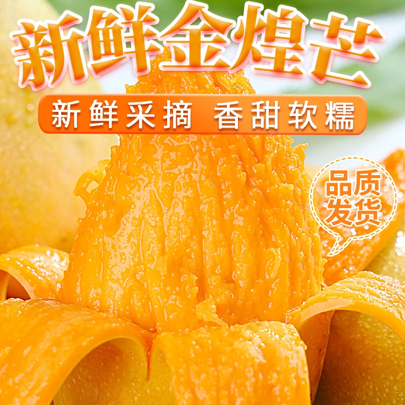 裕百果海南金煌芒新鲜采摘应季水果带箱5斤