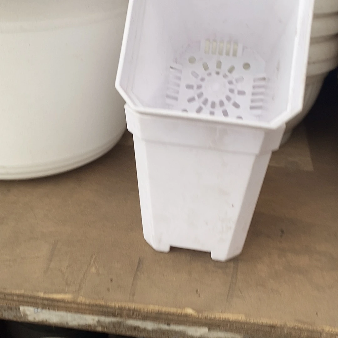 塑料新7公分白方盆20个