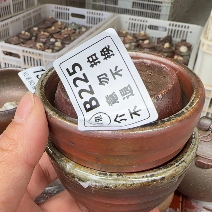 紫砂茶壶柴烧福利新品多多