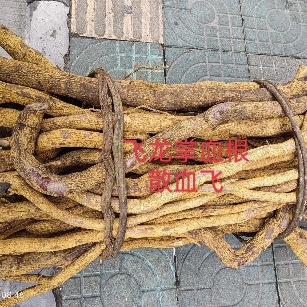 散血飞药材三百棒 飞龙掌血 见血飞大救驾 散血丹 黄大金根生鲜品