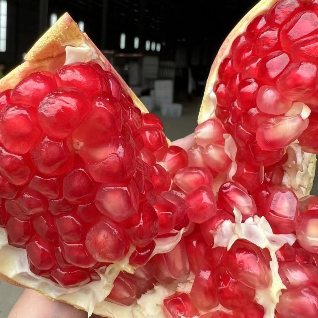 四川突尼斯软籽石榴一箱6个4斤左右