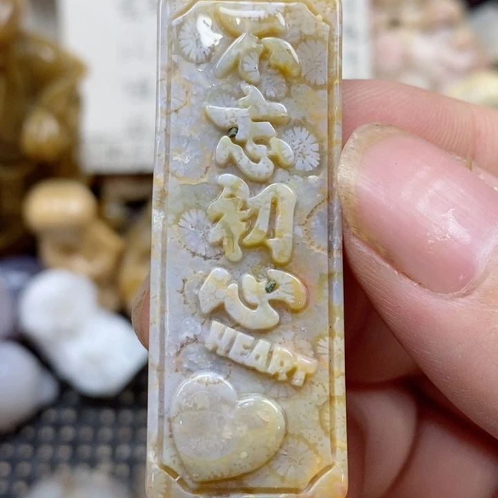 颈饰未镶嵌硅化珊瑚（珊瑚玉）