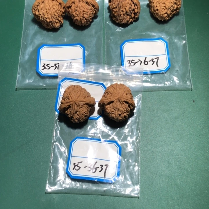 吊坠文玩核桃南疆27
