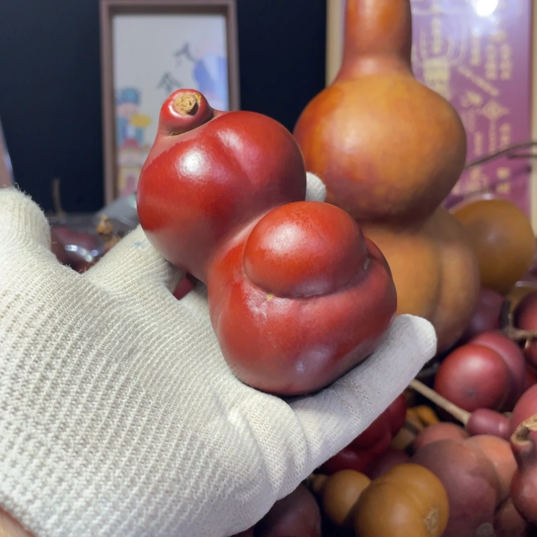 有机玻璃用****65669