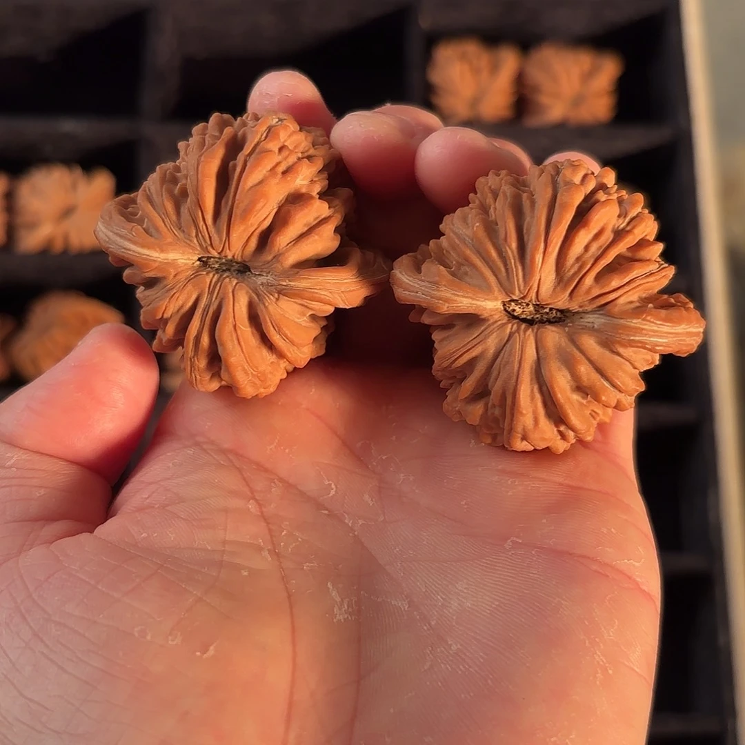 核桃手串/手链5555