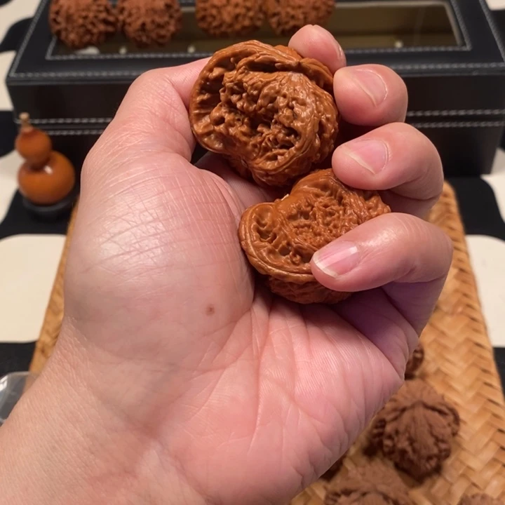 双***白白狮子。半壁核桃狮子头