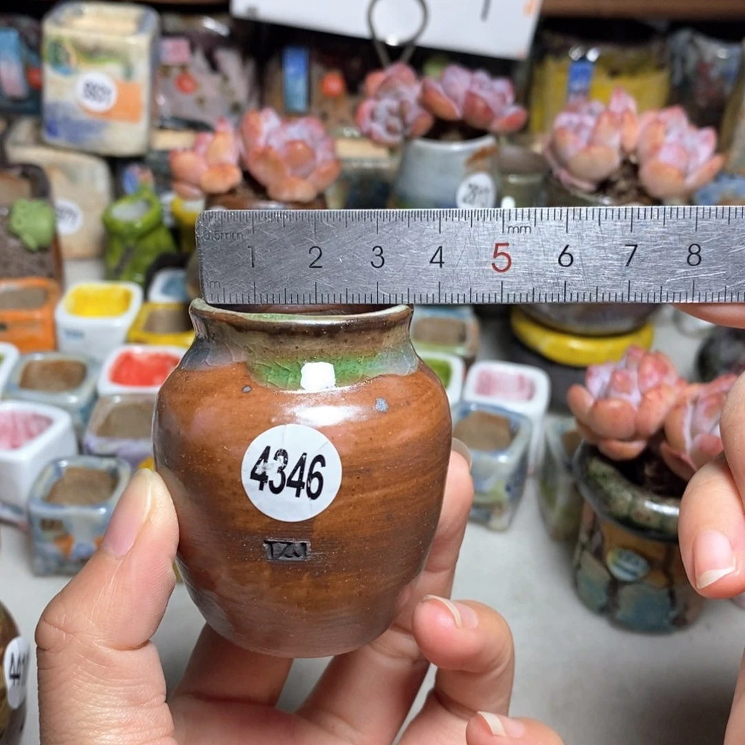 拍5送一个小礼物