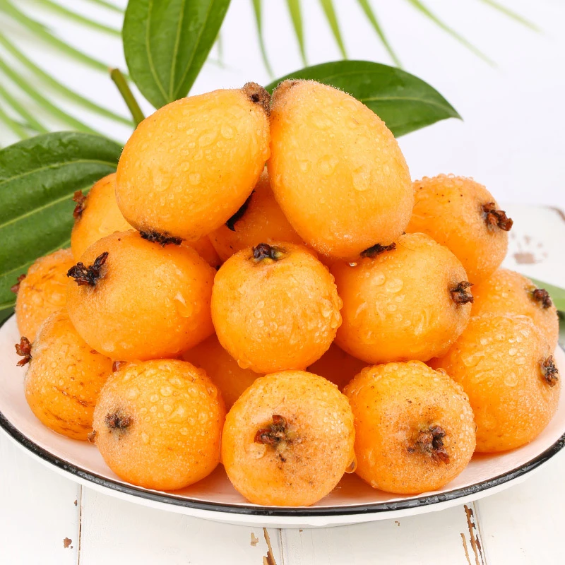 四川攀枝花米易早钟枇杷 3斤/5斤/4斤礼盒/7.5斤礼盒