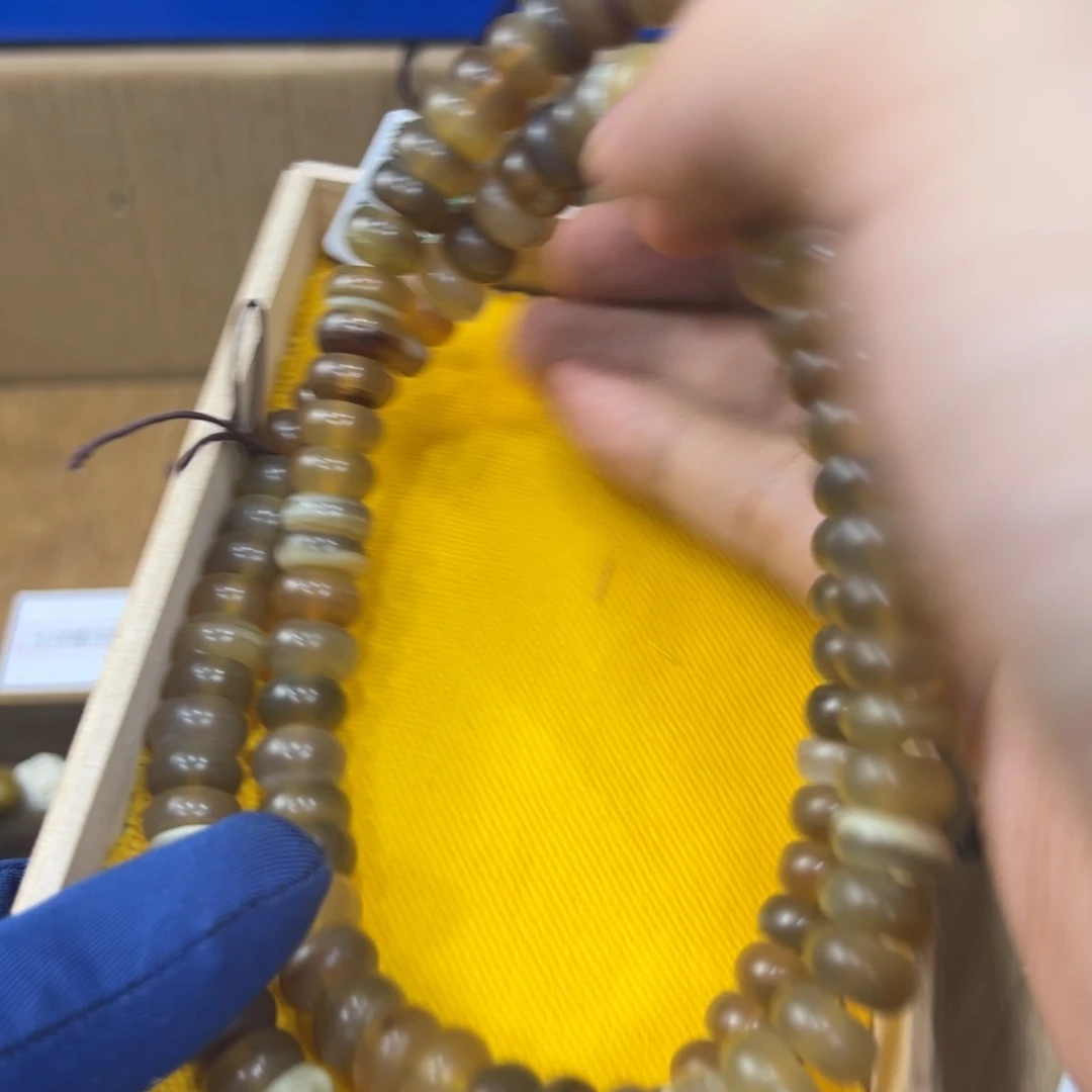 茶宠哈哈哈哈哈哈哈哈哈