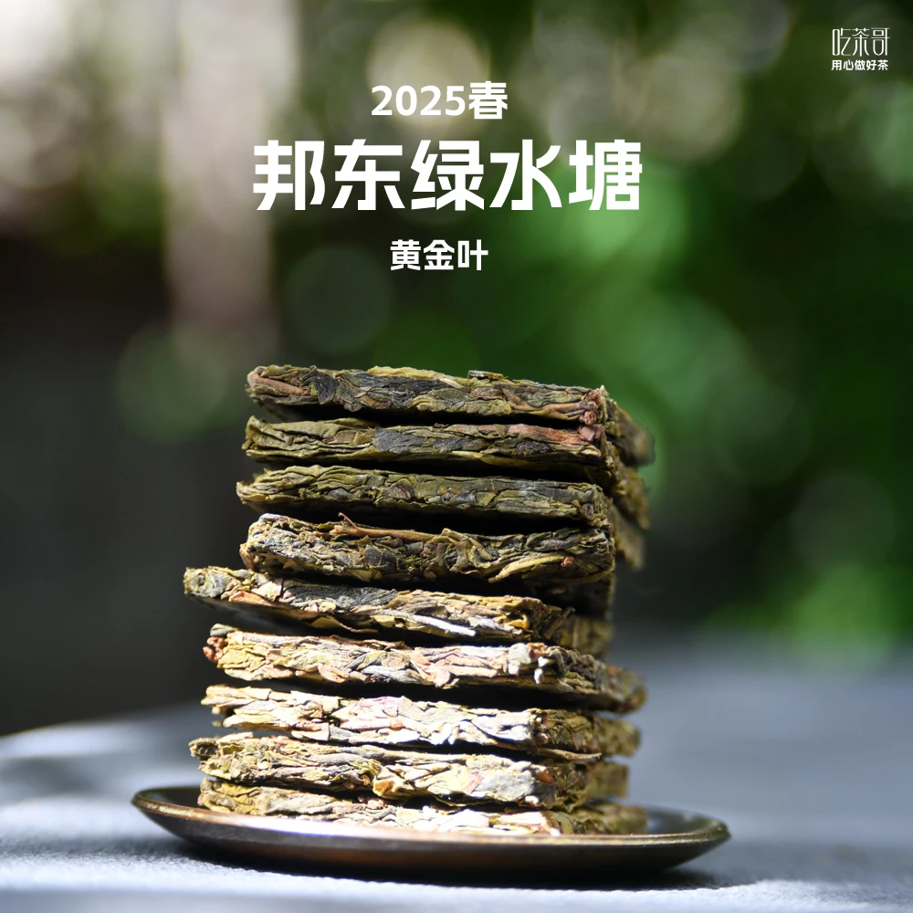 吃茶哥 2025春 邦东绿水塘黄金叶小方片 普洱生茶 100克装
