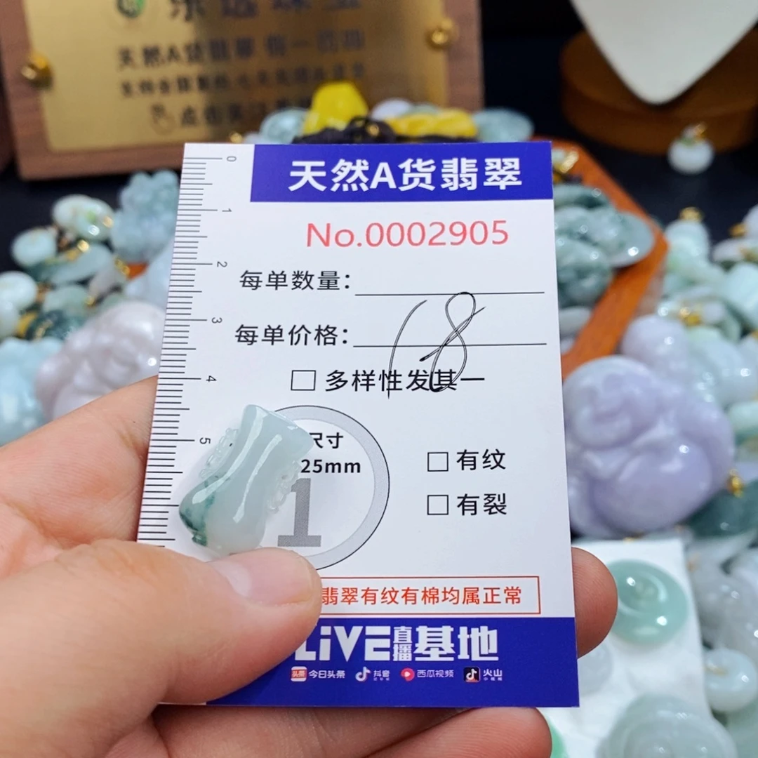 翡翠未镶嵌颈饰2905