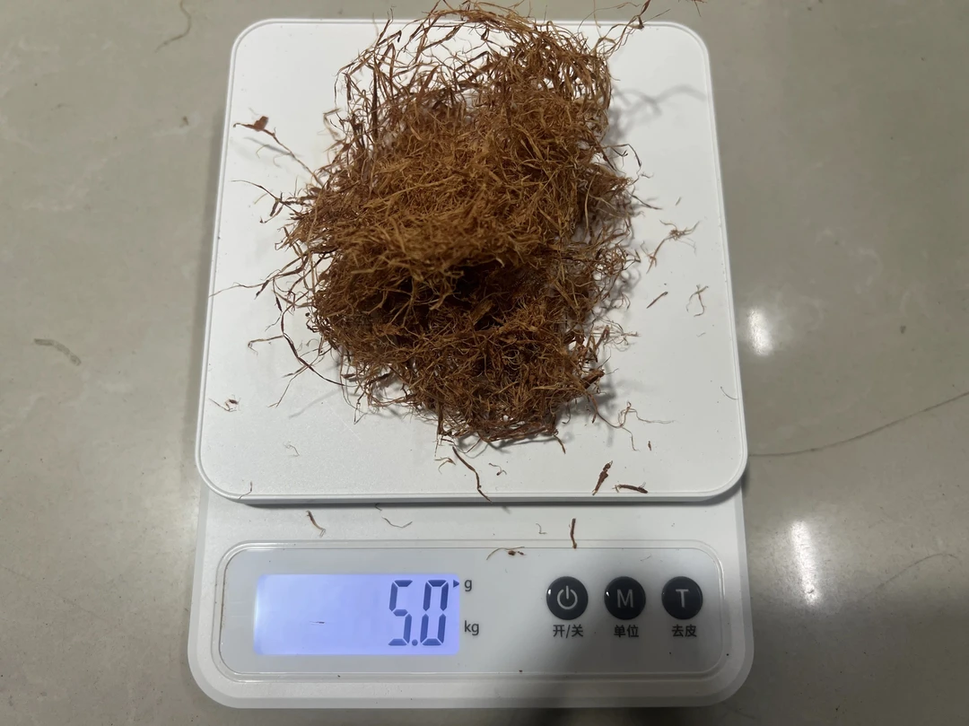 草本植物泰国进口树丝5g懒人叶升级版 调整鱼状态 促进展示打斗