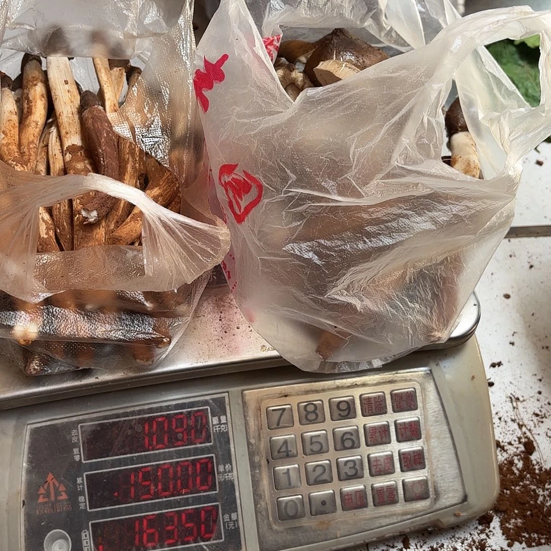 玖****云南小表妹野生菌代购中国大陆