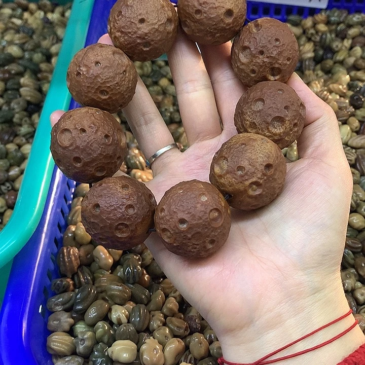 吊坠菩提根/象牙果橄榄核雕刻兴趣手持