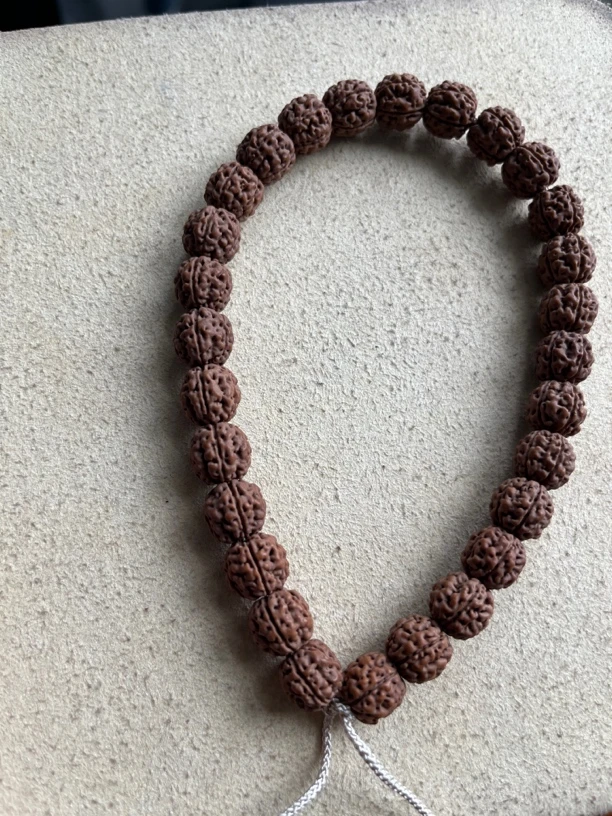 印尼盘龙纹系列原桩无名龙小金刚菩提男生手持